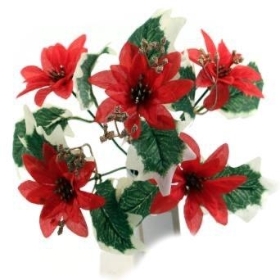 Red Poinsettia Bush 30cm