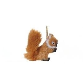 Assorted Squirrel 10cm