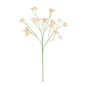 Apricot Fluffy Gyp 62cm