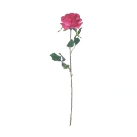 Fuchsia Rose 62cm