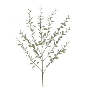 Bay Leaf 77cm
