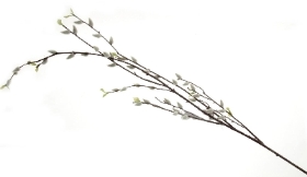 Pussy Willow 135cm