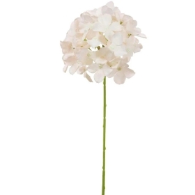 Nude Hydrangea 62cm