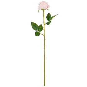 Pale Pink Gabriella Rose 53cm
