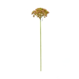 Pink Achillea 55cm