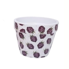 Purple Fruit Pot 12cm