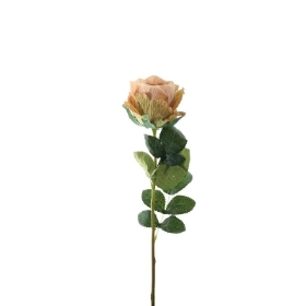 Vintage Nude Rose 56cm