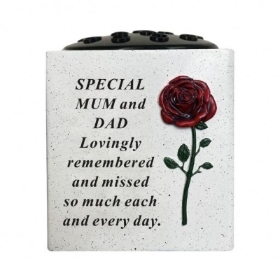 Mum & Dad Red Rose Pot 13cm
