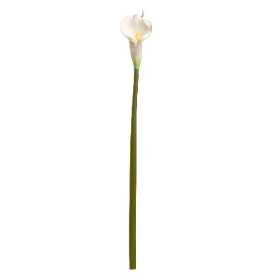 Calla Large Ivory 75cm