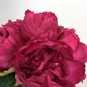 Cerise Peony Bundle 28cm