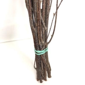 Natural Birch