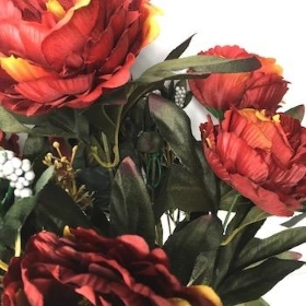 Burnt Red Autumn Peony Bush 48cm