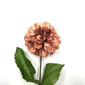 Russet Zinnia 44cm