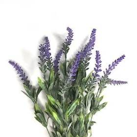 Purple Lavender Bush 47cm