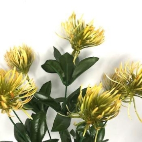 Yellow Protea Bush 37cm