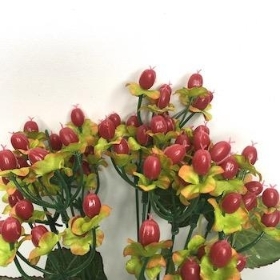 Red Hypericum Bush 42cm