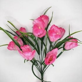 48 x Pink Mini Tulip Bush 36cm
