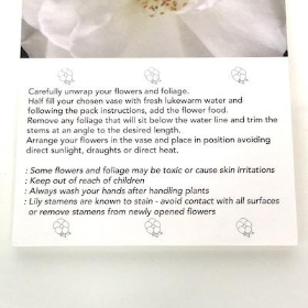 White Rose Folding Card x 25
